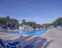 outdoor, swimming pool, sky, water, ground, palm tree, tree, swimming, beach